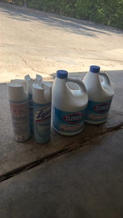 Bleach and Lysol cleaning supplies