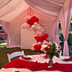 Balloons & Backdrops / Draped Canopy 