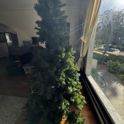 Christmas Tree, Good Condition 