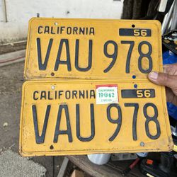 1956 License Plate Yellow 