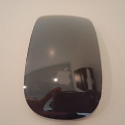 Apple Mouse Light 