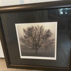 Beautiful black & white artwork 17"x15"