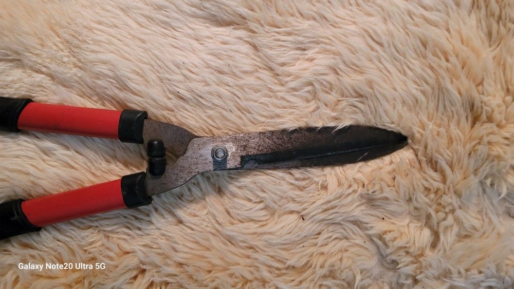 Medium Clippers For Yard Work Reduced For Quick Sale!