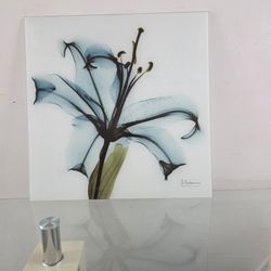 Modern Wall Art- 5 Pieces (Hugh Deal,  Moving Sale)