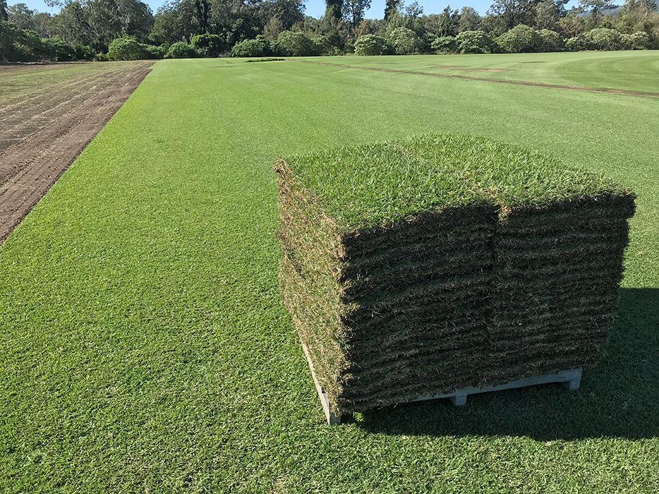 Pallets Of Grass (sod)