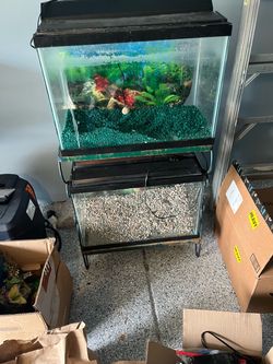 20 gallon Aquariums
