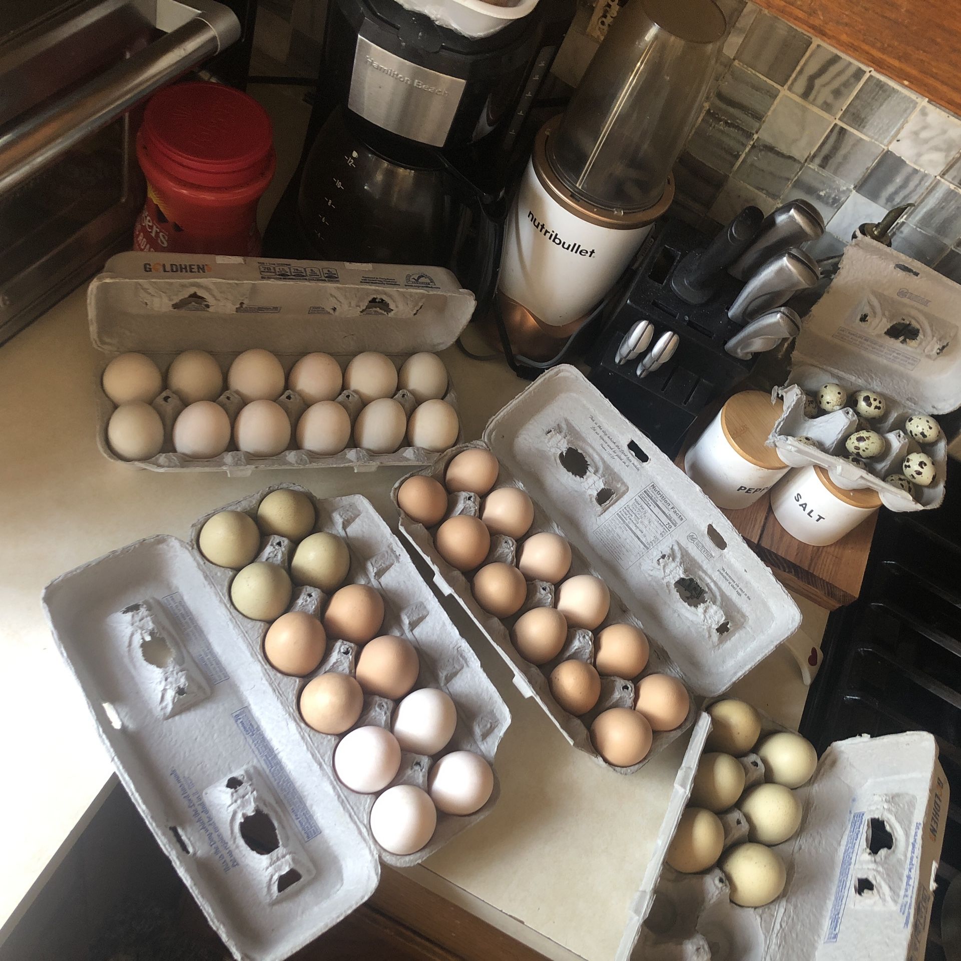 Farm Fresh Eggs