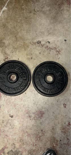 22lb plate set
