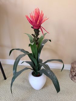 Faux Tropical Plant with Ceramic Planter