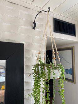 5 Adjustable wall plant hooks
