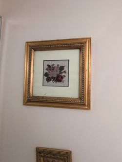 Roses pictures