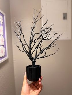 Decor
