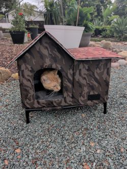 Cat house