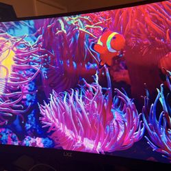 32 inch Curved 1440P 165 hz monitor