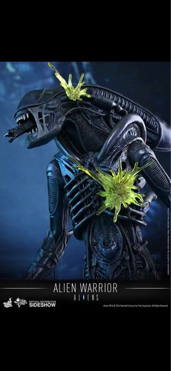 Alien warrior hot toys sixth scale figure