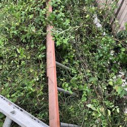 Roof Ladders