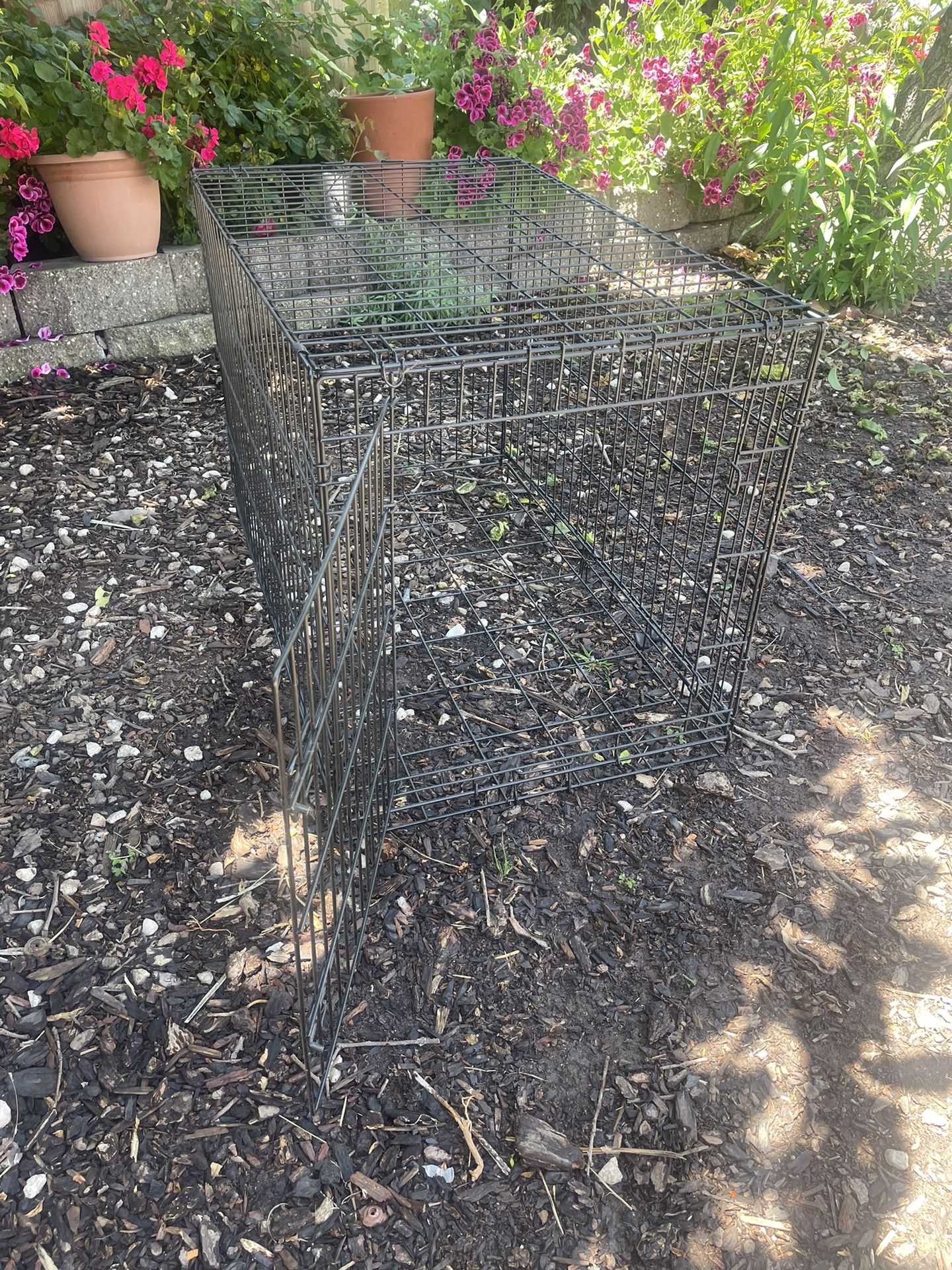 Dog Kennel