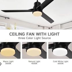 Ceiling Fan