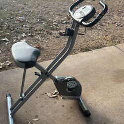 Executive Therapeutic Fitness Bike