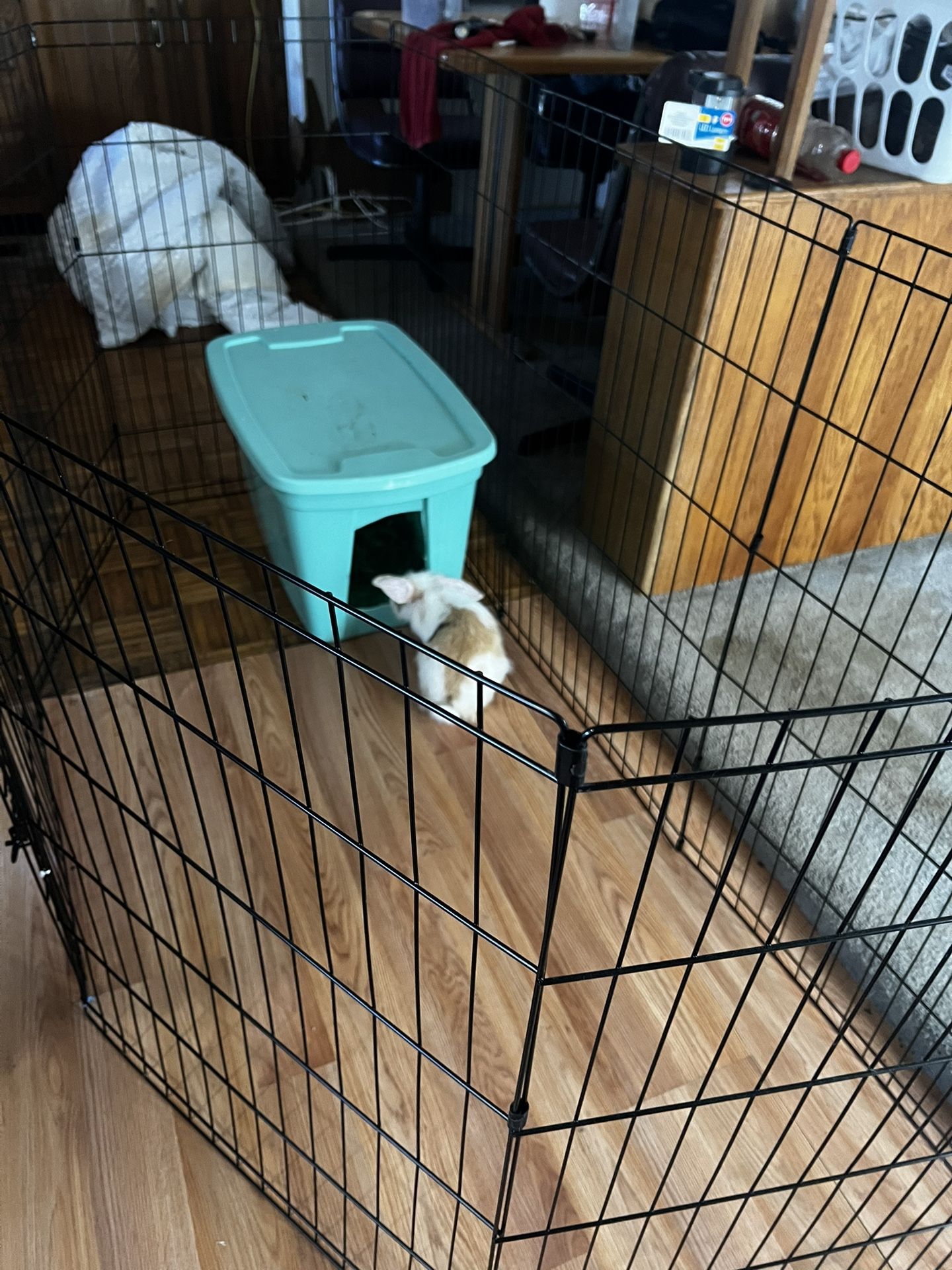 Playpen For Pets . Indoor And Outdoor
