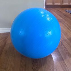 Yoga Ball/Gym Ball