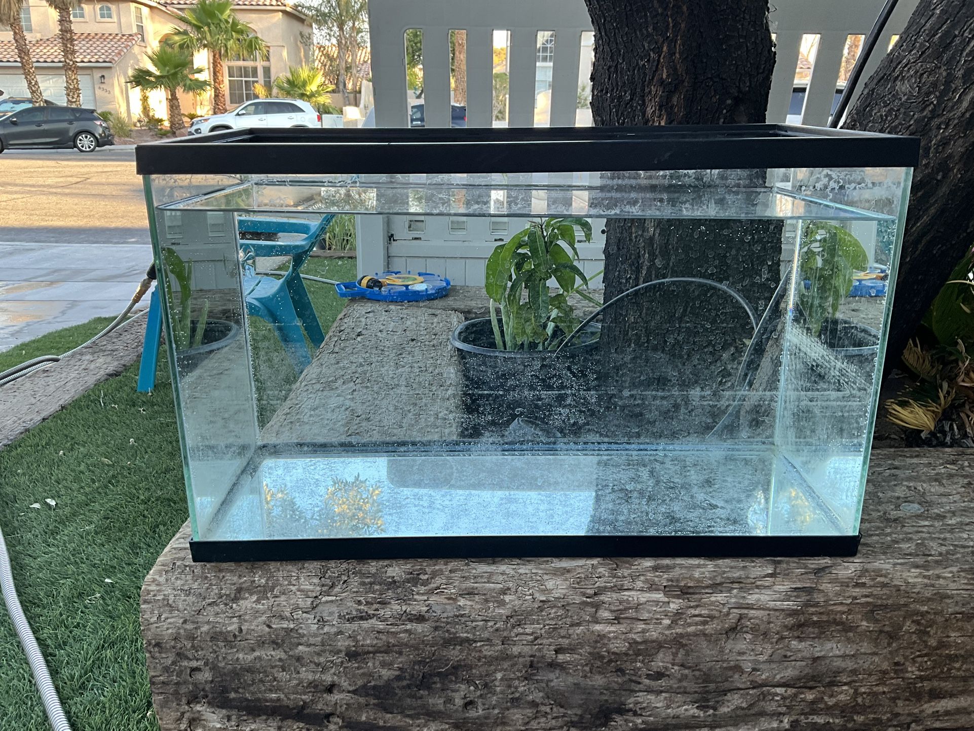 20 Gallon Fish Tank