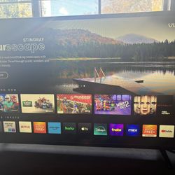 39 Inch Vizio hDMI All Ports