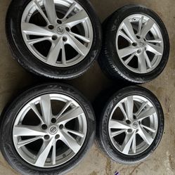 Nissan Maxima Or Altima