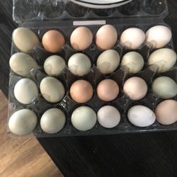 Organic Eggs 24 Dozen