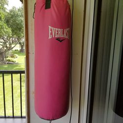 Everlast Kicking Punching Bag With Gloves 