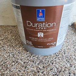 Sherwin-Williams Interior Paint (7043 - Worldly Gray)