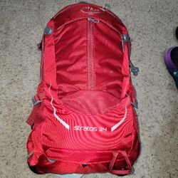 Osprey 24L Backpack