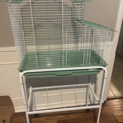Bird Cage