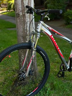Giant Mountain Bike 29