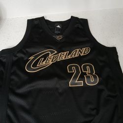 Lebron James Jersey Blk N Gold XL