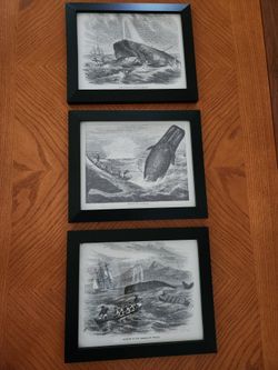 Prints "The Whale Of Captain Deblois"
