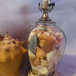 Unique Seashell Lamp – Coastal Decor 🐚