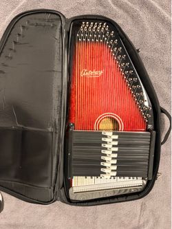 Autoharp with travel case
