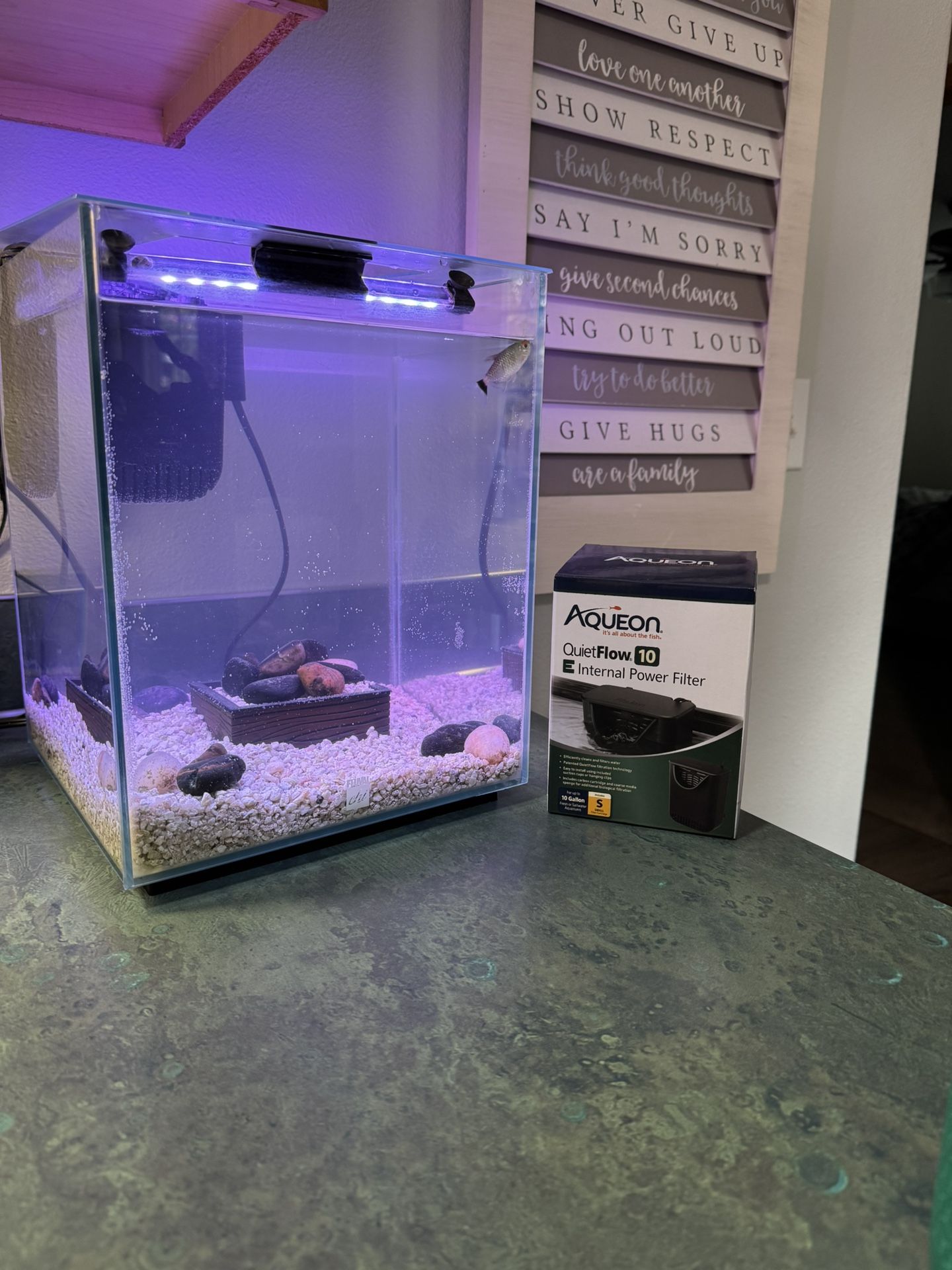 Fluval Fish Tank Complete With Fish, Filter And Light