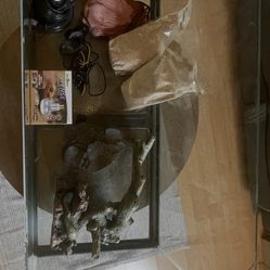 Reptile Terrarium With Lid