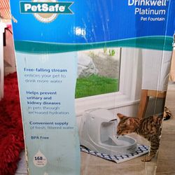 Pet Drinking Fountain