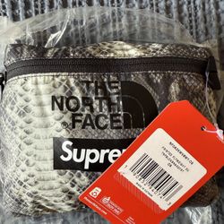 Supreme The North Face Snakeskin Flyweight Duffle Bag