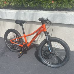 Specialized  Youth Bike