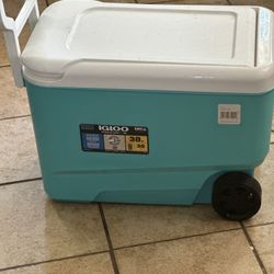 Cooler