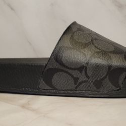 Coach slides - size 8M
