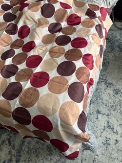 Polka Dot Shower Curtain