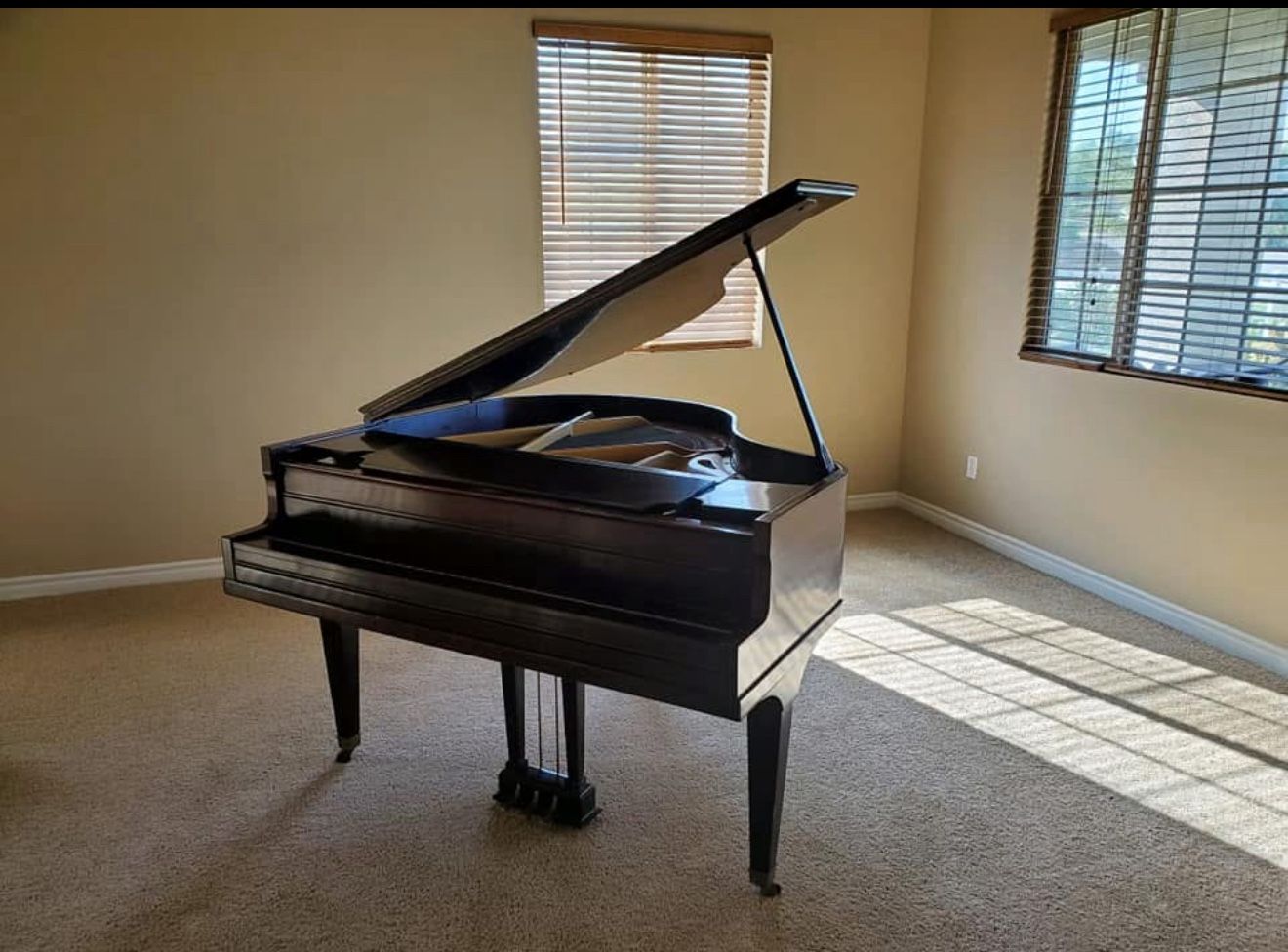 FREE Midget Grand Piano