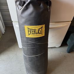 Everlast Punching Bag