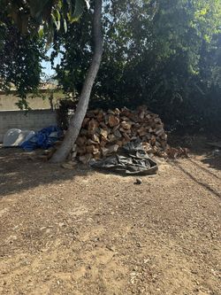 Firewood