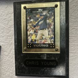 Chris Young Padres 